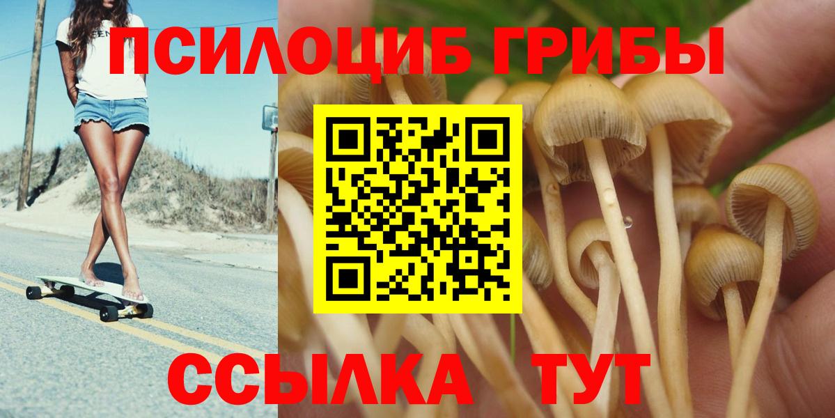 Псилоцибиновые грибы MAGIC MUSHROOMS  Вход с VPN  Рубцовск  Псилоцибиновые грибы ЛСД 
